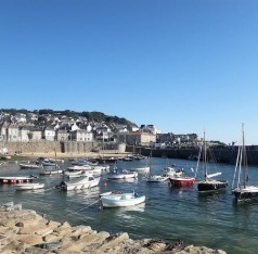 Owner profile picture