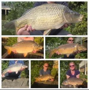 Lakeside Rudd Lake at Tattershall Lakes Country Park, Lincoln