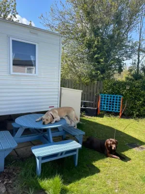 12 Magnolia Court, primrose Valley. at Primrose Valley Holiday Park, Filey